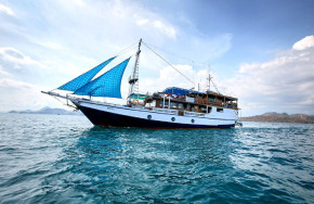Tarata