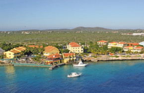 Buddy Dive Resort 