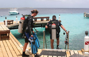 Buddy Dive 
