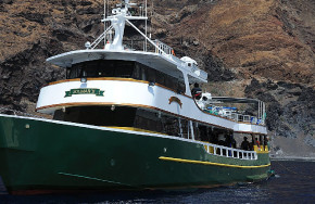 Solmar V
