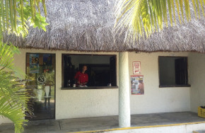 Pro Dive Cozumel